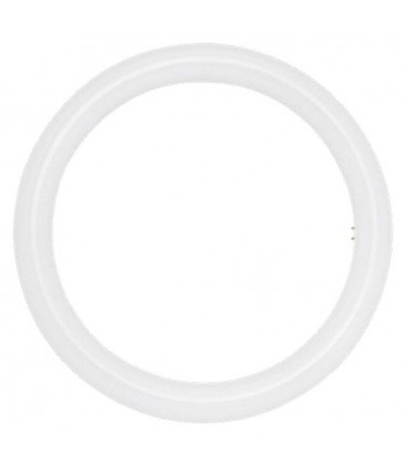 Tubo LED circular T9 11W de Roblan
