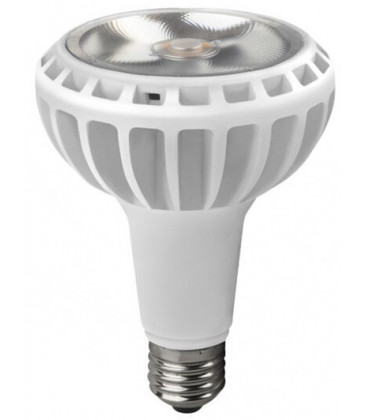 WOJ14174 LAMPARA PAR30 LED 20W E27 6000K SPECTRUM