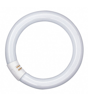 042706 TUBO CIRCULAR LED T9 G10Q 18,3W 6500K 300mm OSRAM