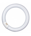 042706 TUBO CIRCULAR LED T9 G10Q 18,3W 6500K 300mm OSRAM