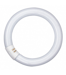 581143 FLUORESCENTE CIRCULAR 32W 4000K OSRAM