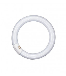 581129 FLUORESCENTE CIRCULAR 32W 2700K OSRAM