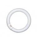 581129 FLUORESCENTE CIRCULAR 32W 2700K OSRAM