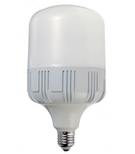 L3064HP5 LAMPARA LED ALTA POTENCIA 24W E27 6400K DURALAMP
