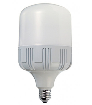 L3064HP5 LAMPARA LED ALTA POTENCIA 24W E27 6400K DURALAMP