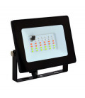 81.763/10/RGB PROYECTOR LED 10W RGB CON MANDO IP65 DH