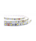 54994 5m TIRA LED 4000K 24V 14,4W/m SMD2835 LEDESM