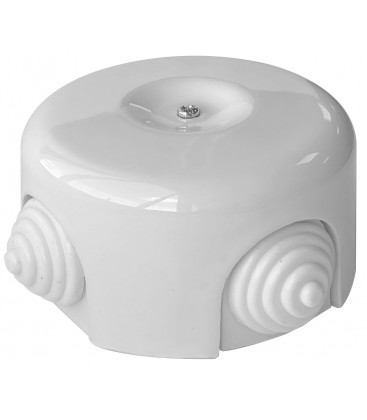 2902030 CAJA DE DISTRIBUCION DE SUPERFICIE PORCELANA BLANCA F-BRIGHT