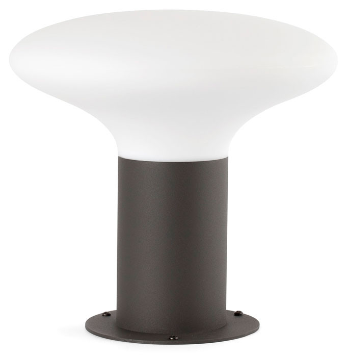 Sobremuro BLUB'S de Faro Barcelona