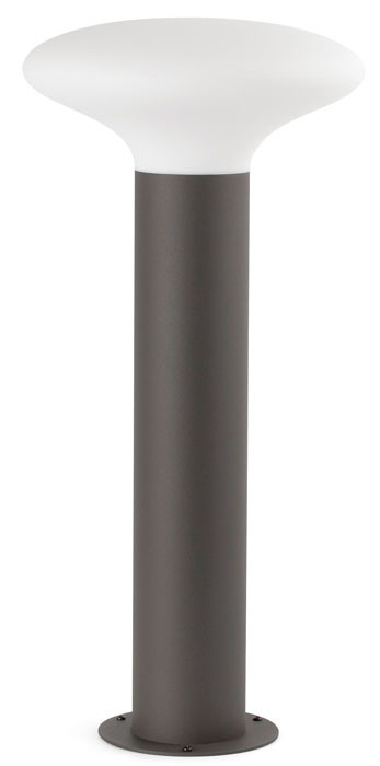 Sobremuro BLUB'S de Faro Barcelona