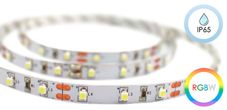 Tira LED Z RGBW 19.2 W/m de Roblan