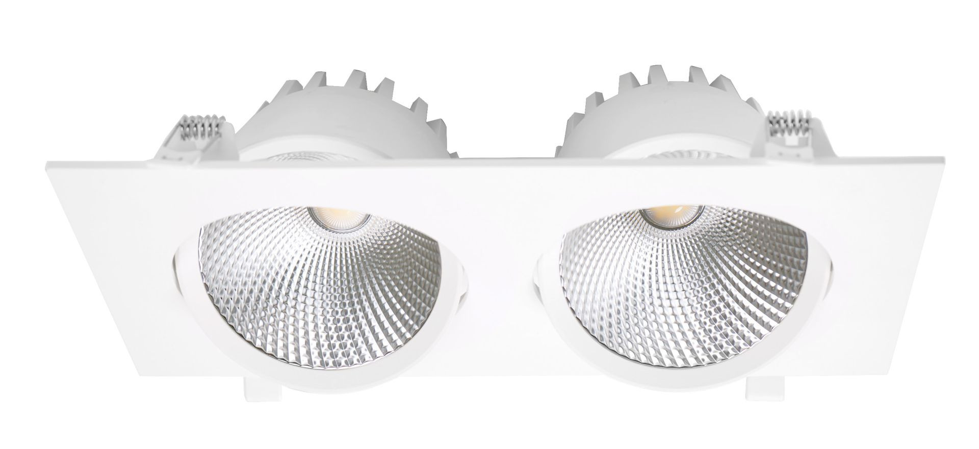 Downlight doble orientable OLLO LED 20W de Roblan