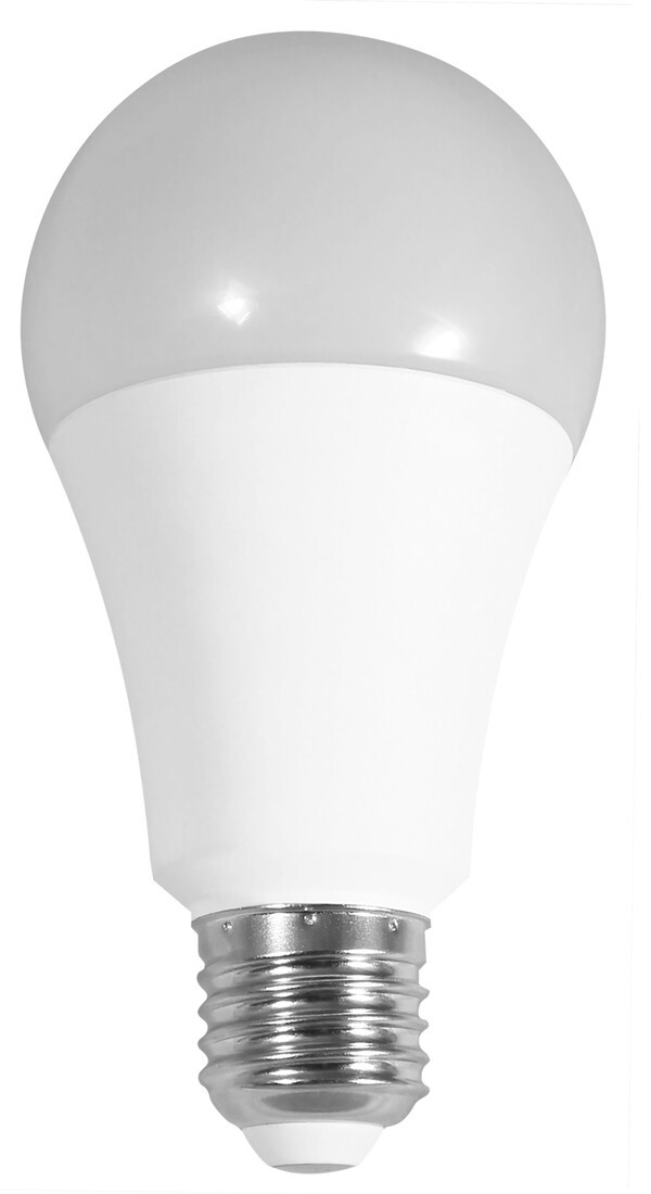 81.196/24/CAL LAMPARA STANDARD LED 24W E27 3000K A70 ELECTRO DH