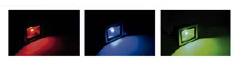 81.763/10/RGB PROYECTOR LED 10W RGB CON MANDO IP65 DH