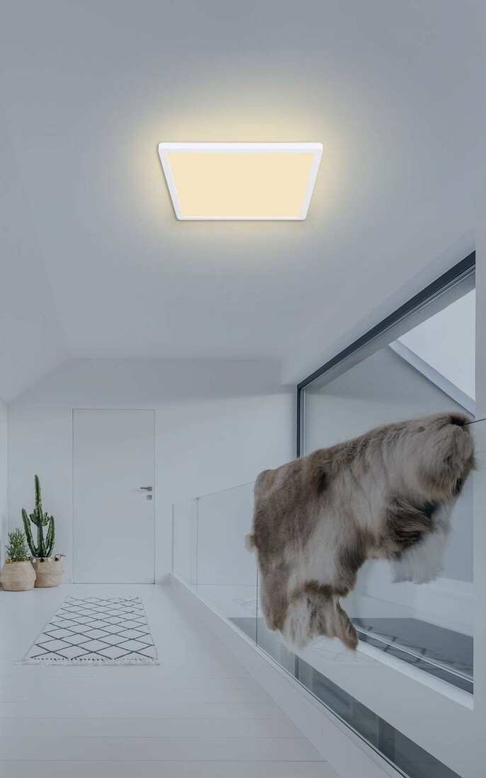 41563-18W LAMPARA DE TECHO BLANCA 1XLED 18W 3000K IP44 SAPANA GLOBO