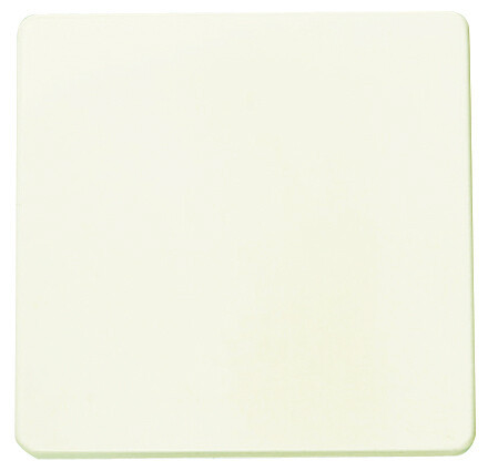 2201 BM INTERRUPTOR MARFIL STYLO