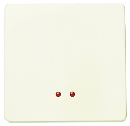 2201.3 BM INTERRUPTOR MONOPOLAR C/VISOR MARFIL STY