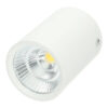Downlight superficie 7W COB Bridgelux Blanco