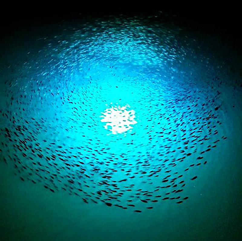 Foco proyector LED atracción pesca 1100W - Image 6