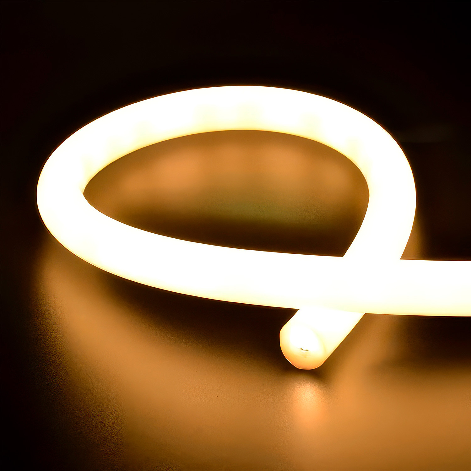 Neón flex 220V circular 9W/m - Imagen 2