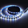 Tira Led RGBW 12V 14.4W/m IP20
